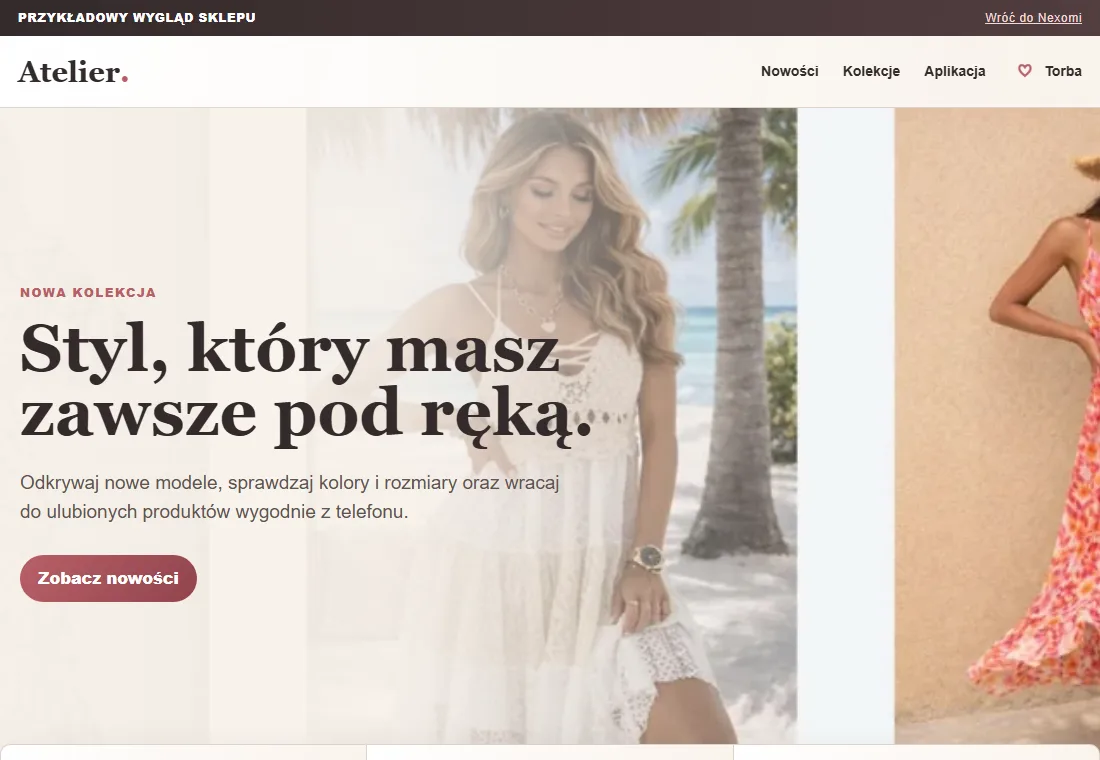 Anteprima reale della boutique online dimostrativa